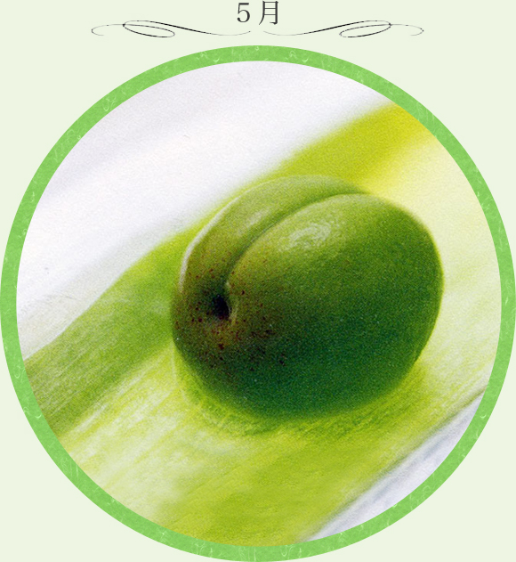 5月
