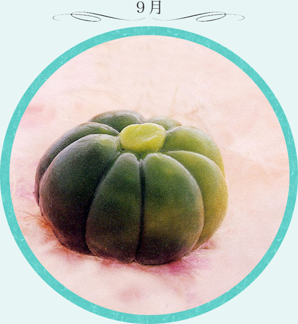 9月